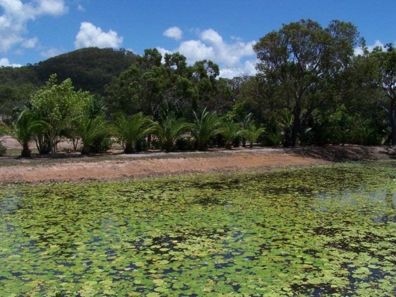 143 Lady Elliott Drive, Agnes Water QLD 4677