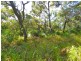 Lot 153 Sunbird Drive Sunrise, Agnes Water QLD 4677