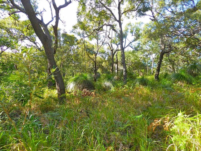 Lot 153 Sunbird Drive Sunrise, Agnes Water QLD 4677