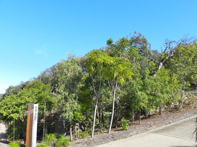 Lot 153 Sunbird Drive Sunrise, Agnes Water QLD 4677