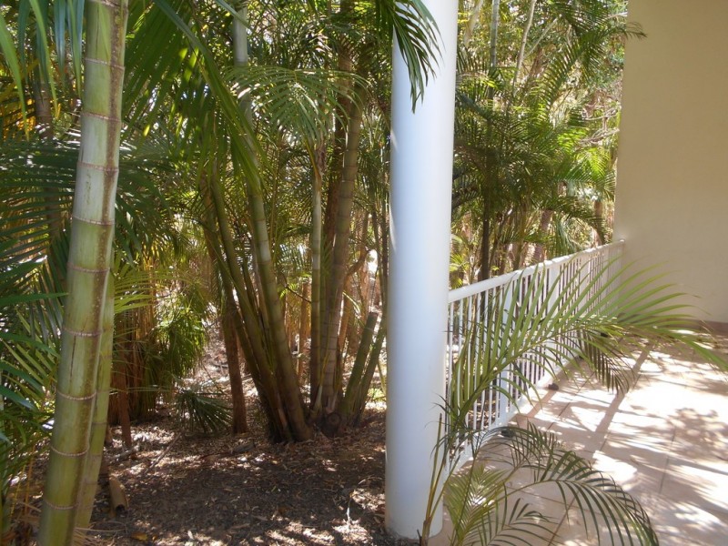 21/40 Captain Cook Drive, Agnes Water QLD 4677