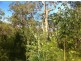 Captain Creek QLD 4677
