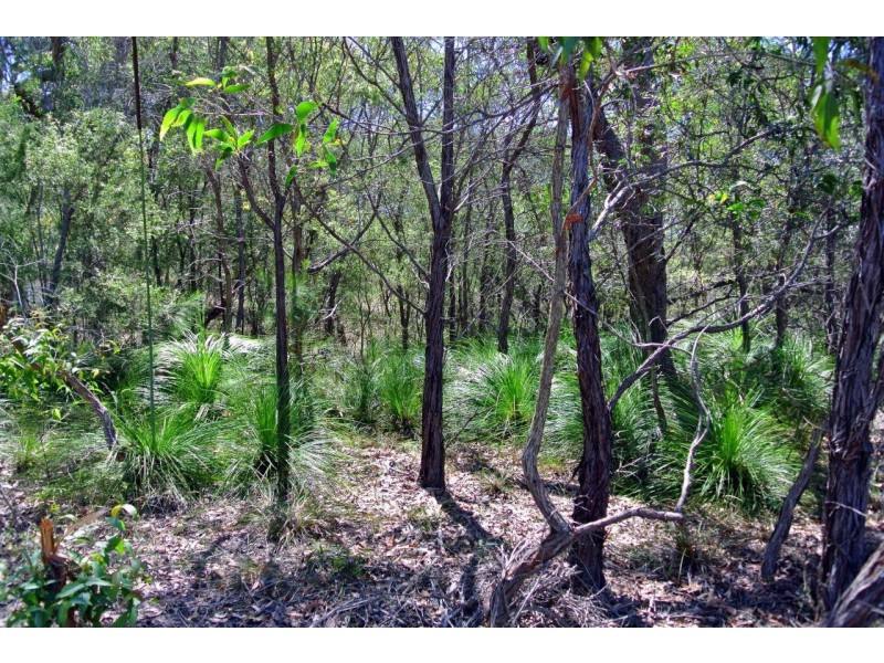 316 Anderson Way, Agnes Water QLD 4677