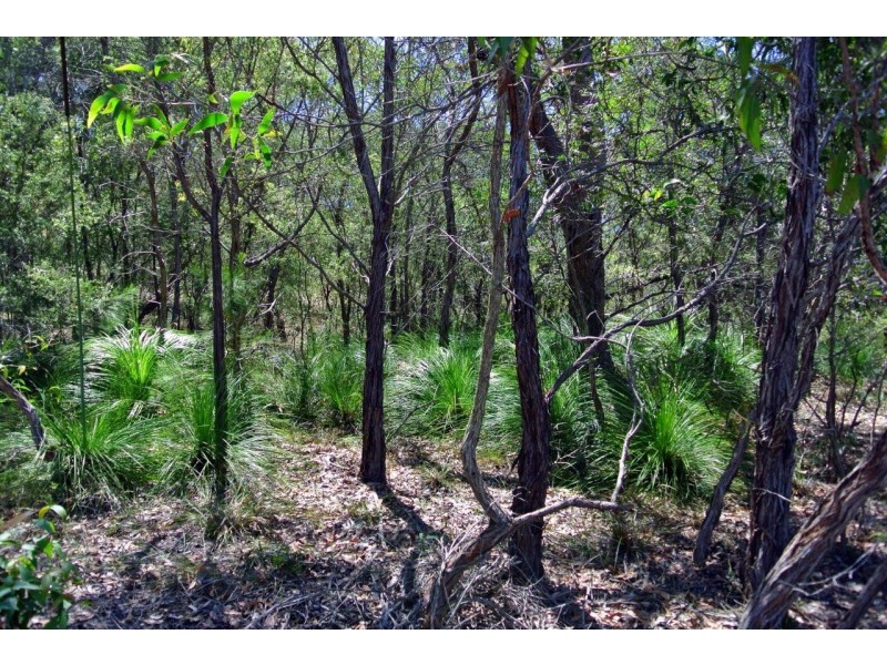 316 Anderson Way, Agnes Water QLD 4677