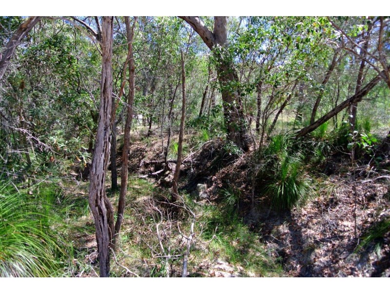 316 Anderson Way, Agnes Water QLD 4677