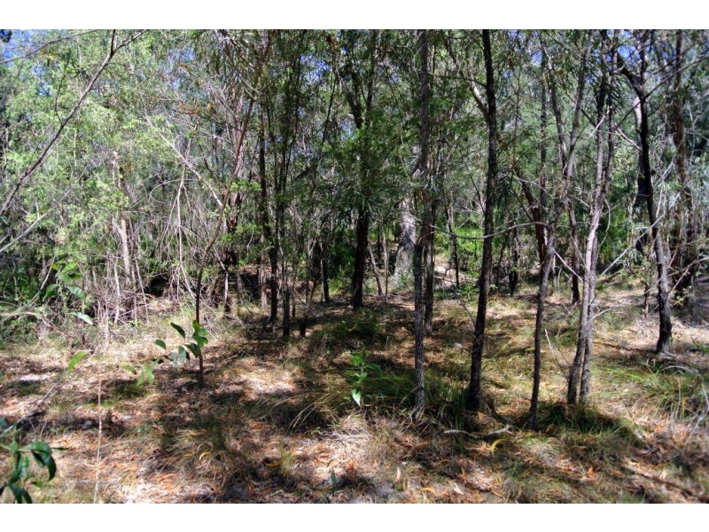 316 Anderson Way, Agnes Water QLD 4677