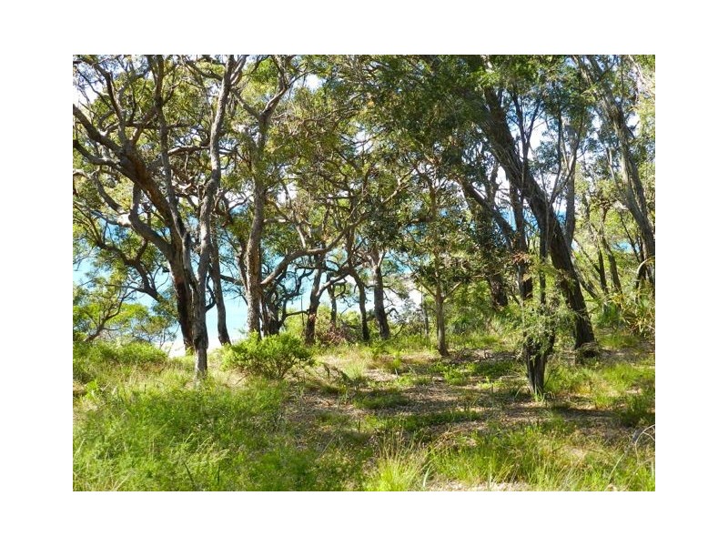 Agnes Water QLD 4677