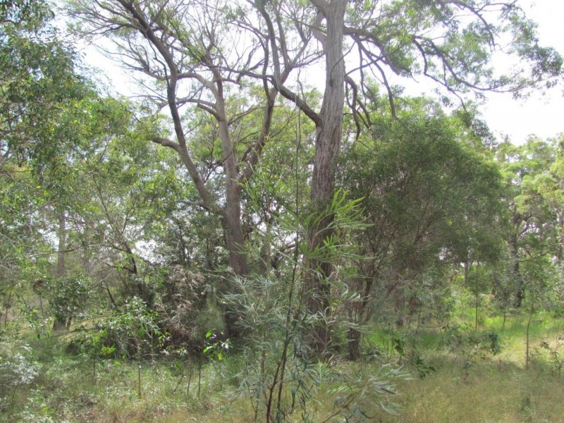 Agnes Water QLD 4677