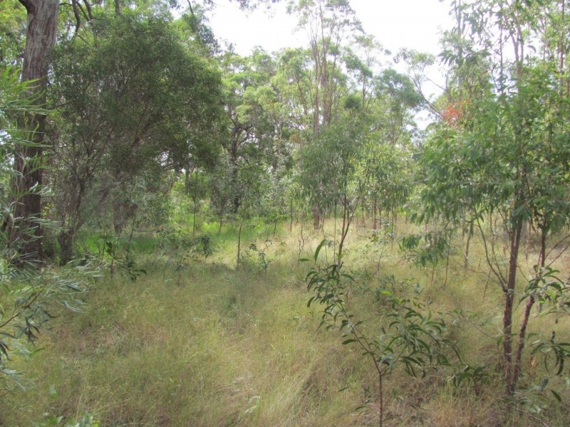 Agnes Water QLD 4677