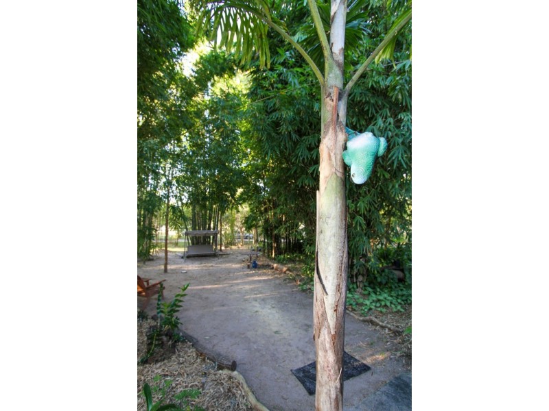 49 Josefski Road, Agnes Water QLD 4677