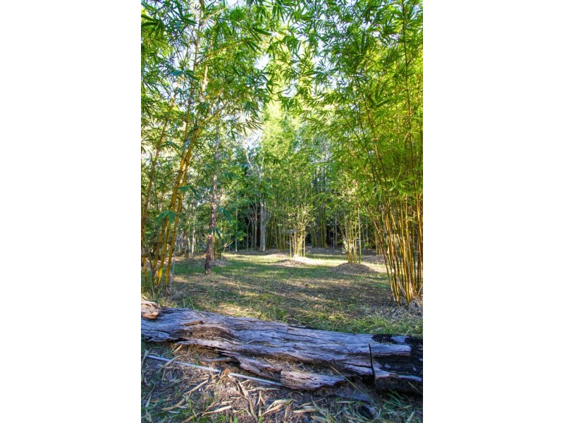 49 Josefski Road, Agnes Water QLD 4677