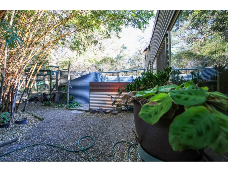 49 Josefski Road, Agnes Water QLD 4677