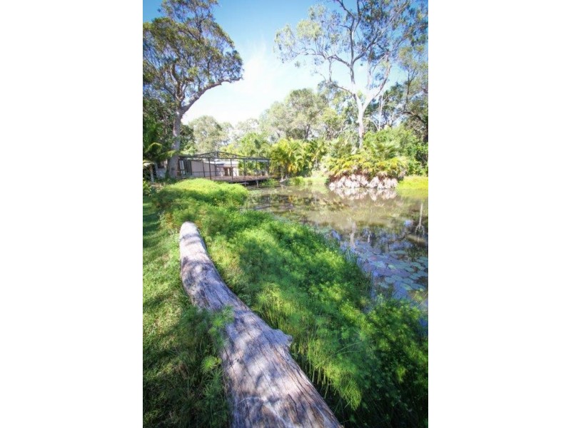 64 McGhee Cres, Agnes Water QLD 4677