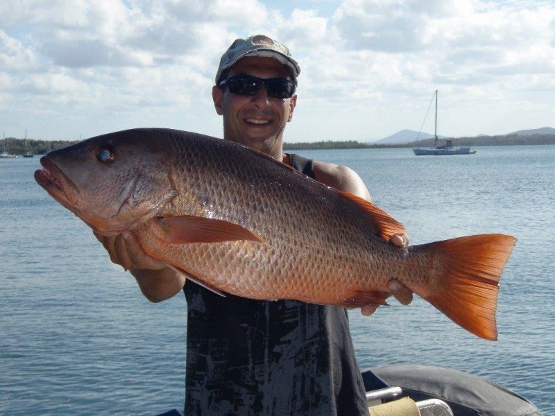 1770 1770, Agnes Water QLD 4677