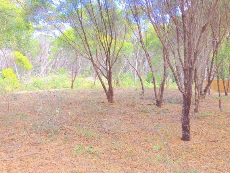 Agnes Water QLD 4677