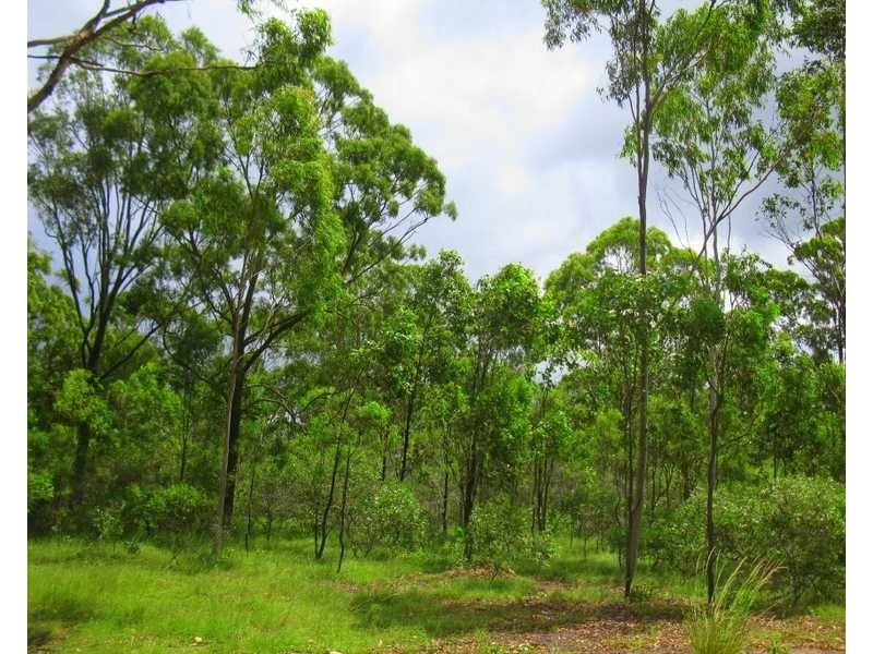 65 Fernfield Rd, Deepwater QLD 4674