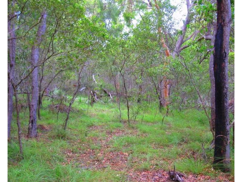 65 Fernfield Rd, Deepwater QLD 4674