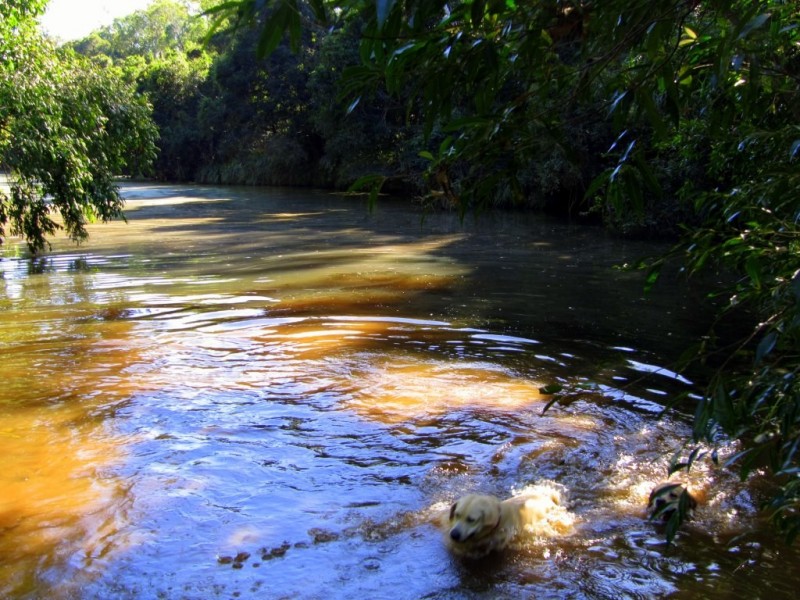 Lot 12 Quarry Road, Round Hill QLD 4677