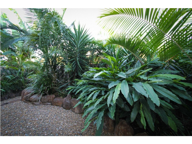 33 Palm Court, Agnes Water QLD 4677