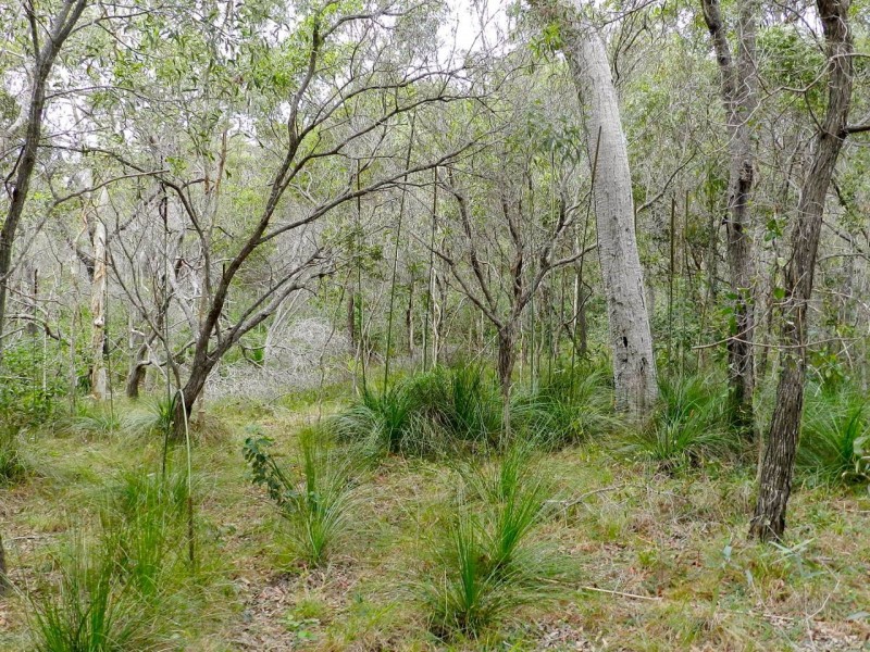 Lot 74 Wistari Tce, Agnes Water QLD 4677
