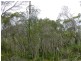 Lot 74 Wistari Tce, Agnes Water QLD 4677