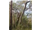 Captain Creek QLD 4677