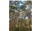 Captain Creek QLD 4677