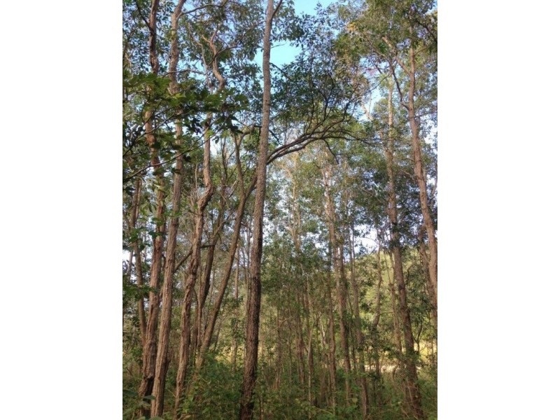 Captain Creek QLD 4677