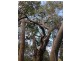 Captain Creek QLD 4677