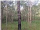Captain Creek QLD 4677