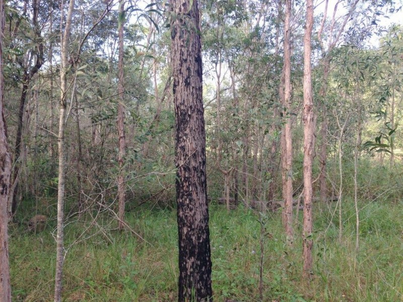 Captain Creek QLD 4677
