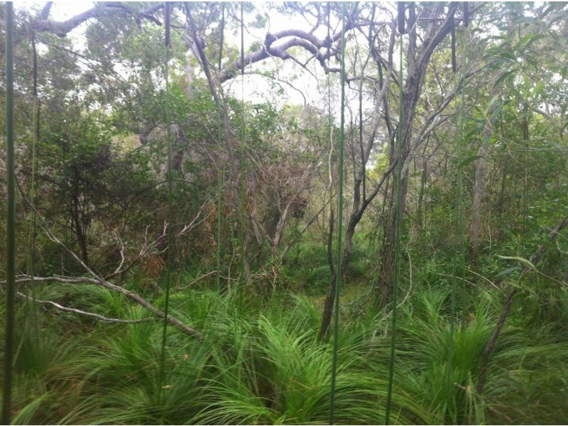 Agnes Water QLD 4677