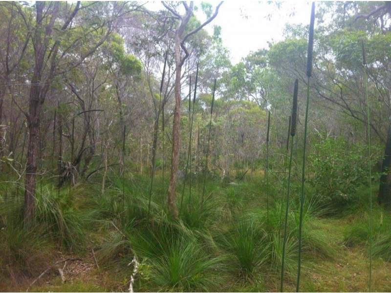 Agnes Water QLD 4677