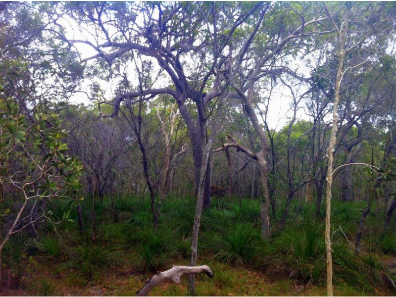 Agnes Water QLD 4677