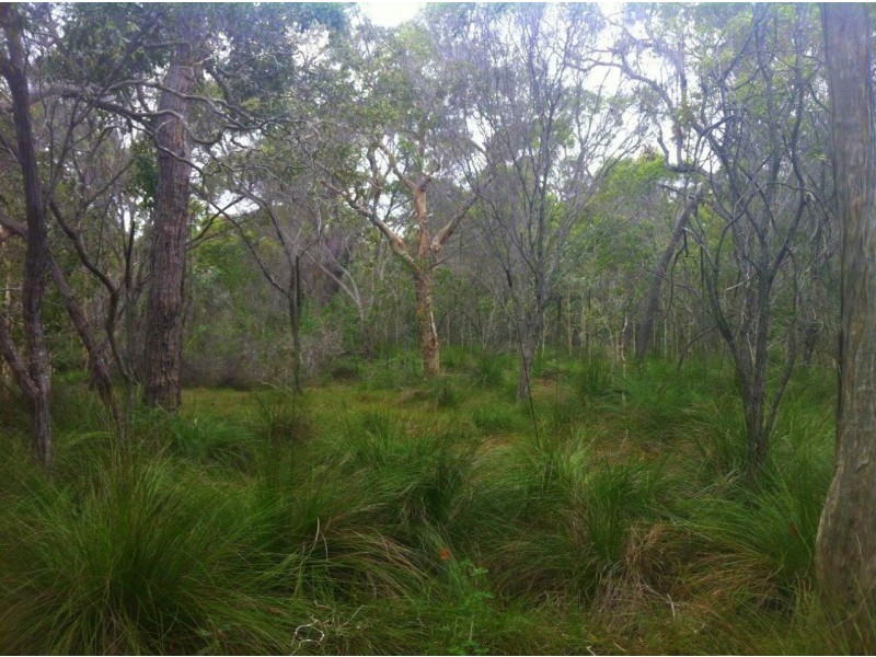 Agnes Water QLD 4677