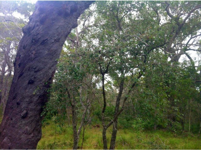 Agnes Water QLD 4677