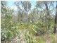 Lot 26 Tablelands Road, Mount Maria QLD 4674