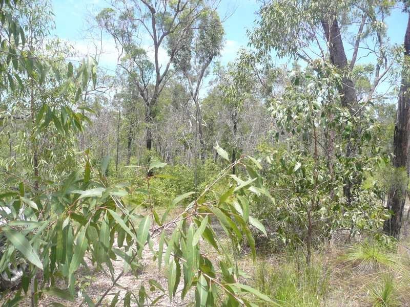 Lot 26 Tablelands Road, Mount Maria QLD 4674