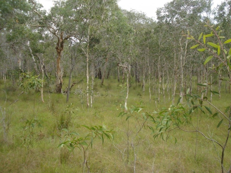 Agnes Water QLD 4677