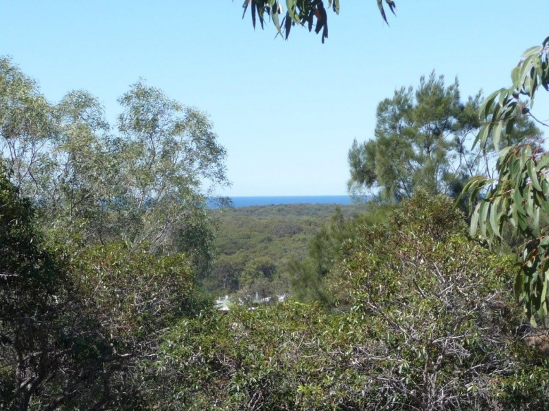 12 Shady Lane, Agnes Water QLD 4677
