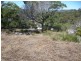 12 Shady Lane, Agnes Water QLD 4677