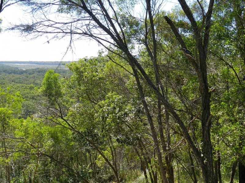 18 The Crescent, Agnes Water QLD 4677