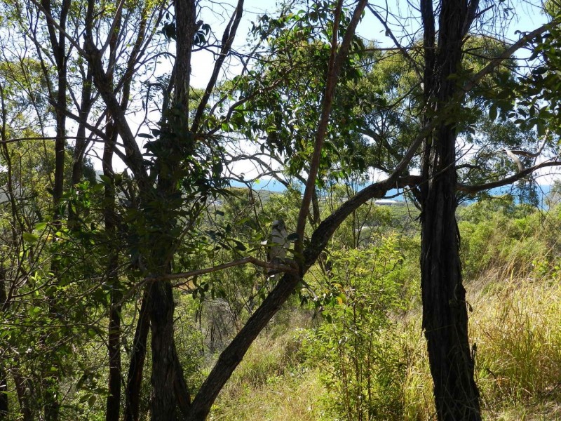 18 The Crescent, Agnes Water QLD 4677