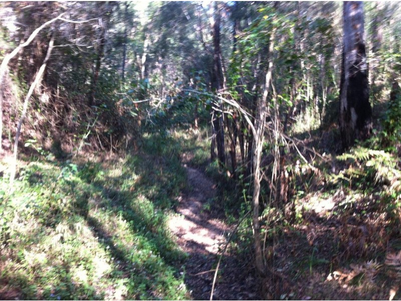 Captain Creek QLD 4677