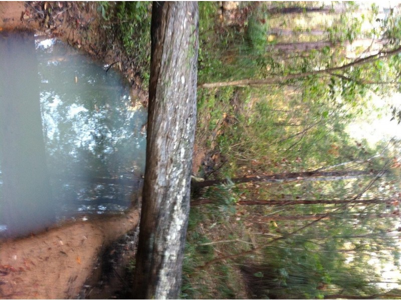 Captain Creek QLD 4677