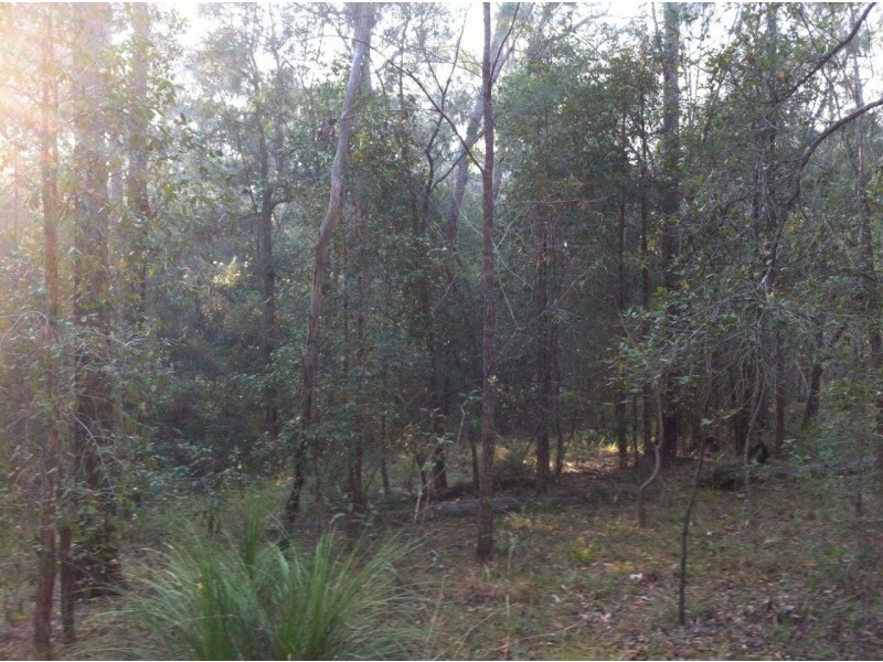 Captain Creek QLD 4677