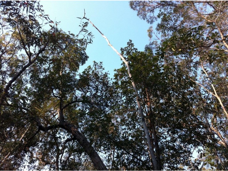 Captain Creek QLD 4677