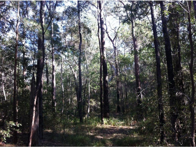 Captain Creek QLD 4677