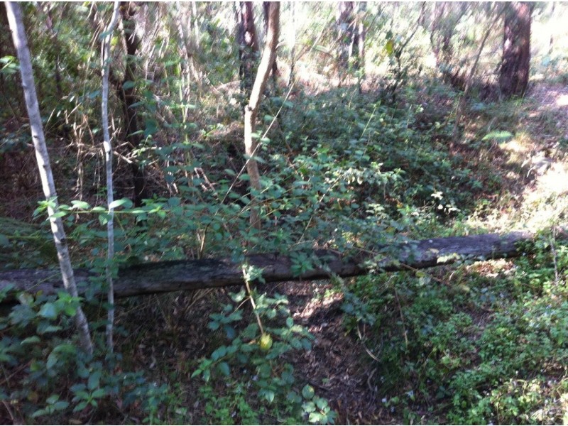 Captain Creek QLD 4677