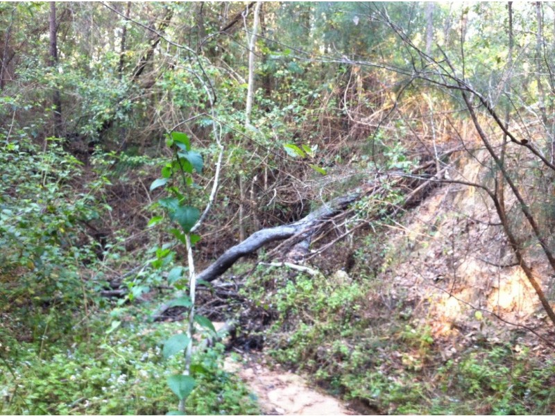 Captain Creek QLD 4677